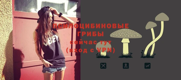 герыч Арсеньев
