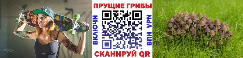 Псилоцибиновые грибы Psilocybe  купить наркотик  Светлый 